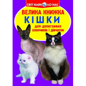 Книга Книга