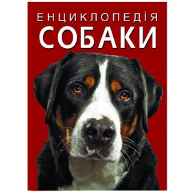 Книга Книга