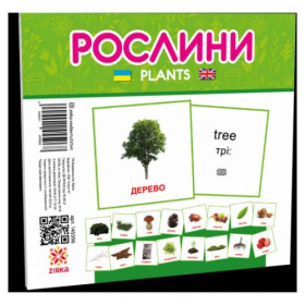 Міні картки 