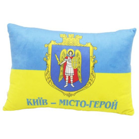 Подушка з принтом 