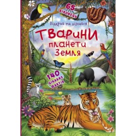 Уцінка. Книжка з віконцями 